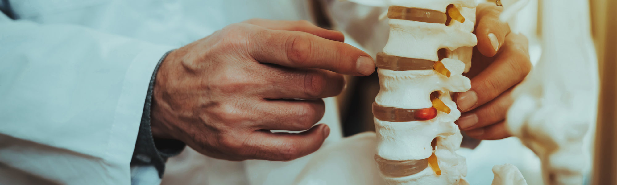 Doctor pointing to a skeletal spine